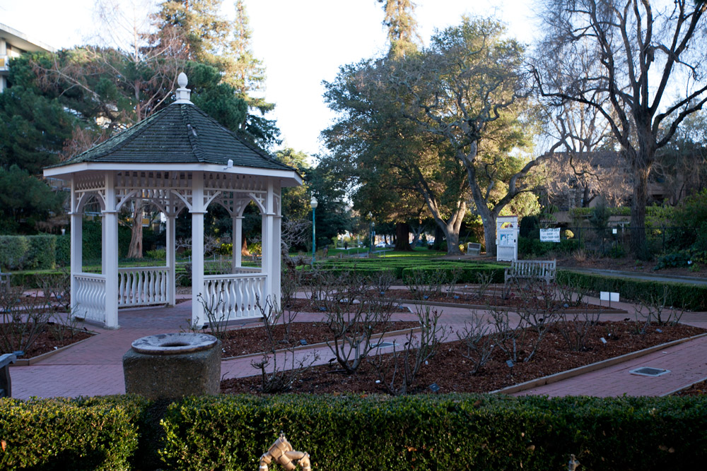 Photos of San Mateo Central Park and Teas the Season